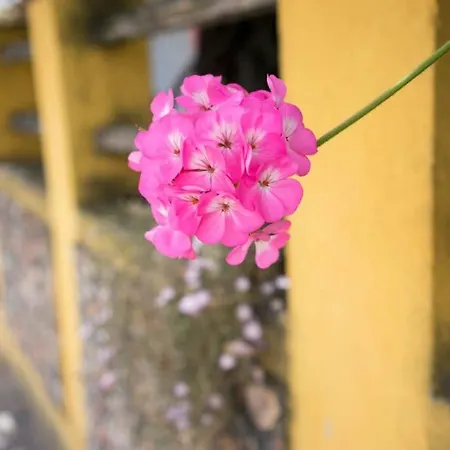 Apartmán La Terrazza