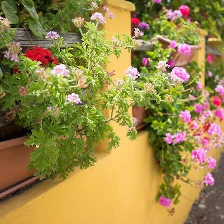 La Terrazza Bari Sardo